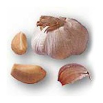 KRATHIAM (Garlic)